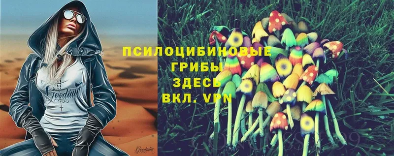 как найти закладки  OMG ТОР  Псилоцибиновые грибы Cubensis  Киселёвск 